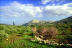 Palestine is Beautiful